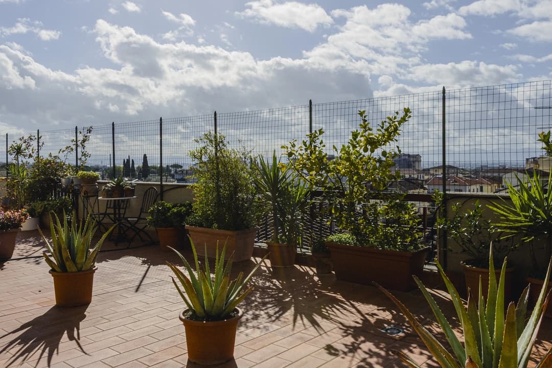 Studio Legale Ricci - Galleria 6